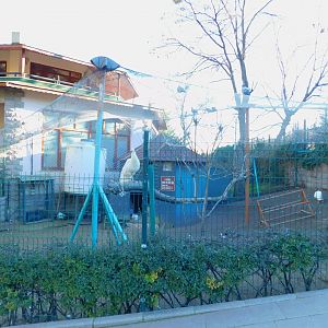White Peafowl Cage at the Ankara Domestic Animal Park