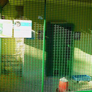 Rabbit (and Mara) Enclosure at the Ankara Domestic Animal Park