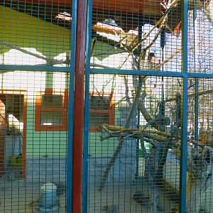 Chukar Enclosure at the Ankara Domestic Animal Park