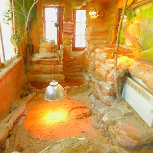 Green Iguana Enclosure at the Ankara Domestic Animal Park