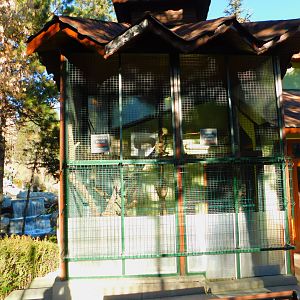 Rhesus Macaque Cage at the Ankara Domestic Animal Park