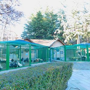 Overstocked Chicken and Peafowl Cages at the Ankara Domestic Animal Park