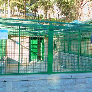 Bennets Wallaby Enclosure at the Ankara Domestic Animal Park