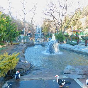 Far end of the Duck Pond at the Ankara Domestic Animal Park