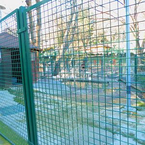 Flamingo Enclosure at the Ankara Domestic Animal Park
