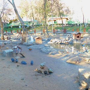 Middle Section of the Duck Pond at the Ankara Domestic Animal Park