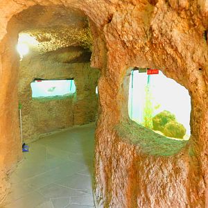 Aquarium interior at the Ankara Domestic Animal Park