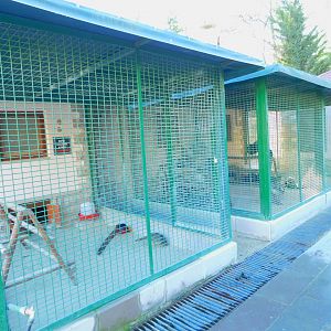 Pheasantry in the Ankara Domestic Animal Park