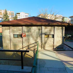 Pony Stable at the Ankara Domestic Animals Park