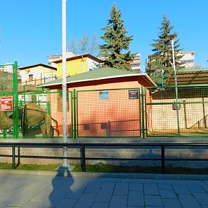 Camel Enclosure at the Ankara Domestic Animals Park