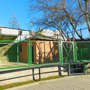Llama Enclosure at the Ankara Domestic Animals Park