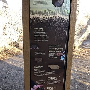 Black-footed Ferret Exhibit (NEW)