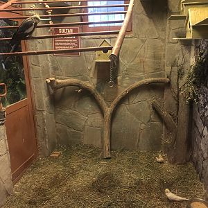 Cockatiel Enclosure at the Ankara Domestic Animals Park