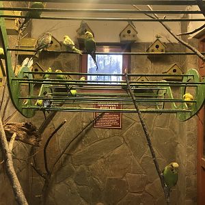 Budgie Enclosure at the Ankara Domestic Animals Park