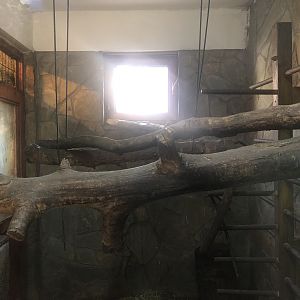 Rhesus Macaque Enclosure at the Ankara Domestic Animals Park