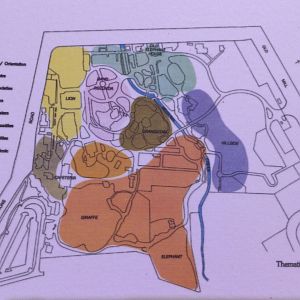 Centenary Exhibition - 1991 Masterplan