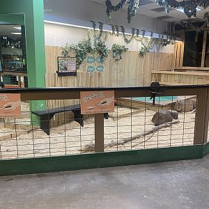 Sustainable Safari - Capybara/Cape Barren Goose Exhibit