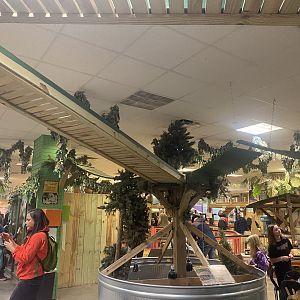 Sustainable Safari - North American Porcupine Exhibit