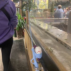 Sustainable Safari - Prairie Dog Feeding Pole