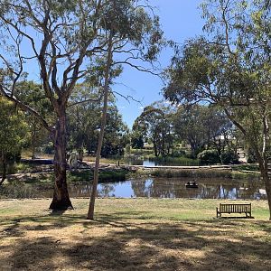 Orange Botanic Garden Ponds