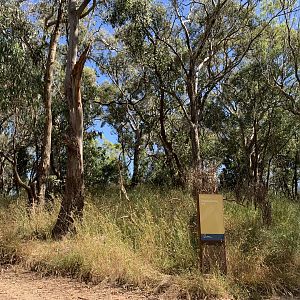 Orange Botanic Gardens- Regeneration Hill
