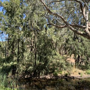 Orange Botanic Gardens Island