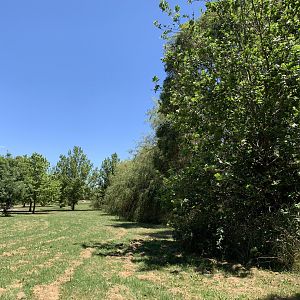 Somerset Park, Orange