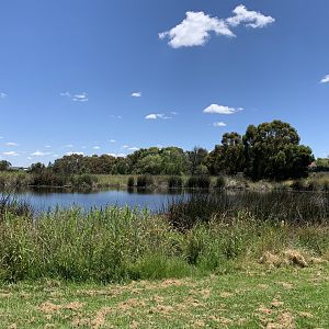 Somerset Wetland, Orange