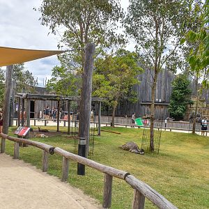 Macropod Walkthrough