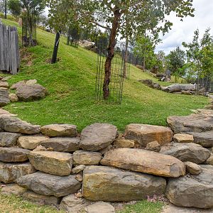 Macropod Walkthrough