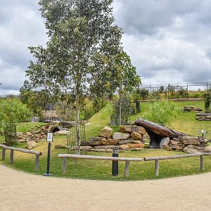 Macropod Walkthrough