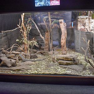 Lace Monitor Enclosure