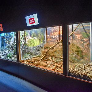 Centralian Python Enclosure