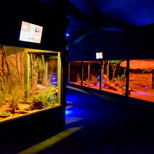 Spinifex Hopping-Mouse and Bilby/Ghost Bat Enclosures