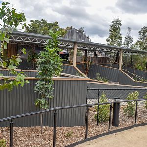 Koala Enclosures