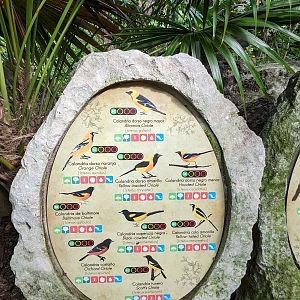 Main Aviary - signage