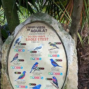 Main Aviary - signage