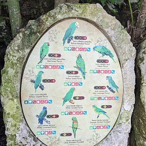 Main Aviary - signage