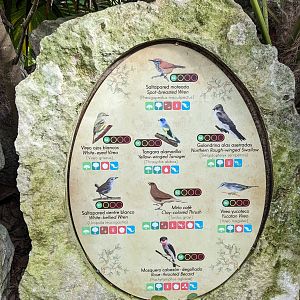 Main Aviary - signage