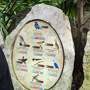 Main Aviary - signage