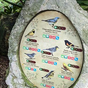 Main Aviary - signage