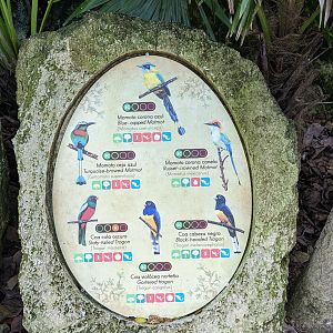 Main Aviary - signage