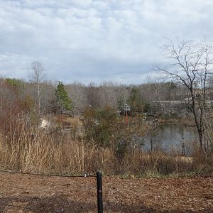 View of marsh from North America Plaza