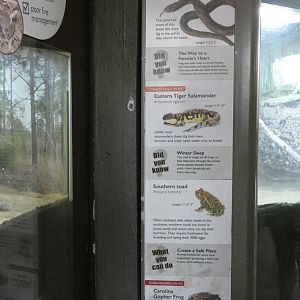 Reptiles and Amphibian Signage