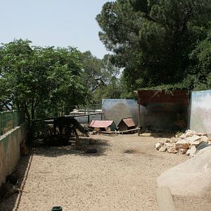 south american exhibit