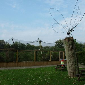 Flight Aviary and Sculpture at Birdland 19/09/09