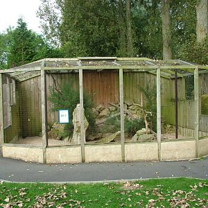 Burrowing Owl aviary at Birdland 19/09/09