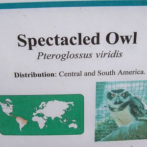Spot the deliberate mistake at Birdland 19/09/09