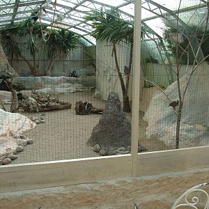 Desert House at Birdland 19/09/09