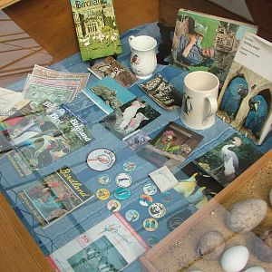 Birdland Memorabilia display at Birdland 19/09/09